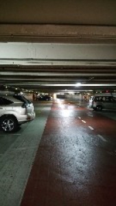 Photo Rambla_Catalunya5.jpg